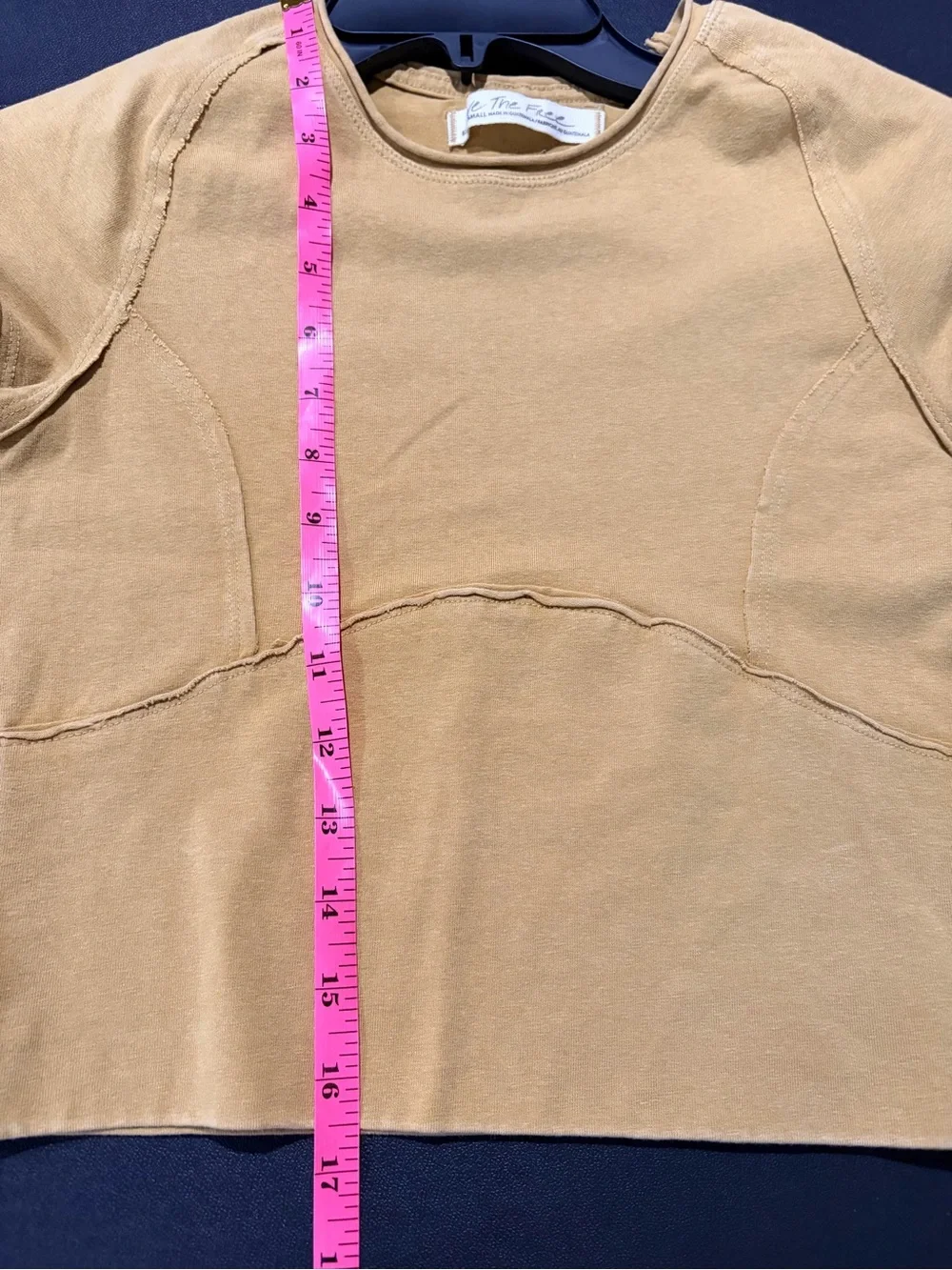 Free People Protagonist Tee Golden Eagle SZ XS